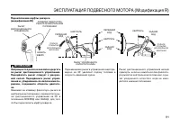 Страница 81