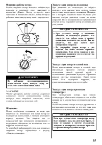 Страница 25