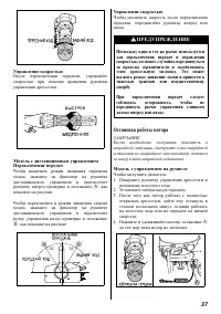 Страница 38