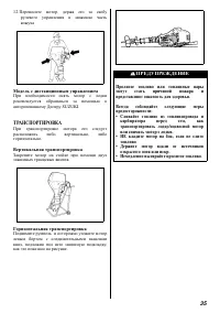 Страница 36