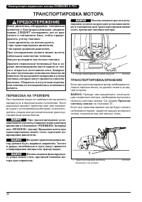 Страница 51