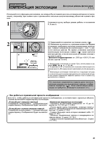 Страница 43