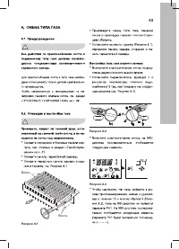 Страница 43