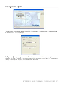 Страница 252