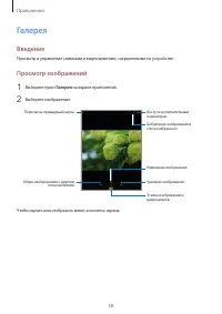 Страница 58