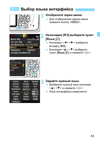 Страница 43
