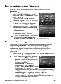 Страница 43