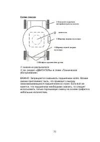 Страница 31