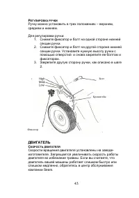Страница 43