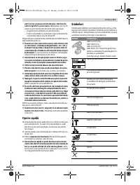 Страница 111