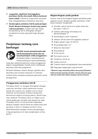 Страница 246