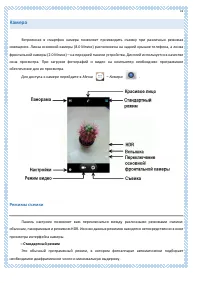 Страница 74