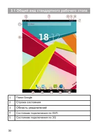 Страница 31