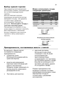 Страница 21