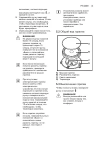 Страница 43
