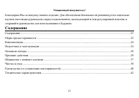 Страница 21