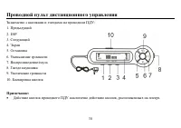 Страница 38