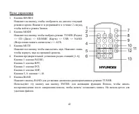 Страница 42