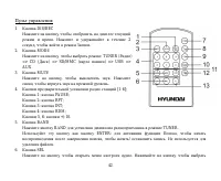 Страница 42