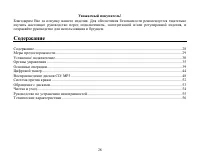 Страница 28