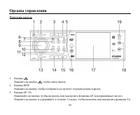 Страница 49