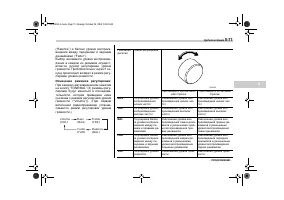 Страница 243