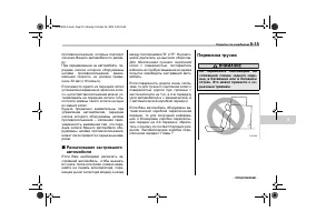 Страница 317