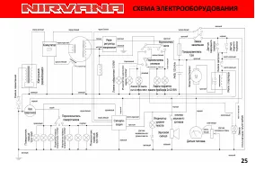 Страница 31