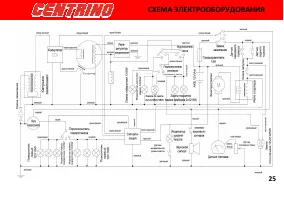 Страница 31
