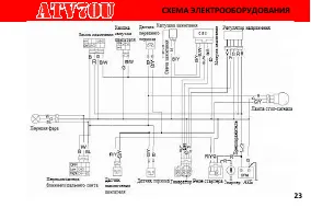 Страница 29