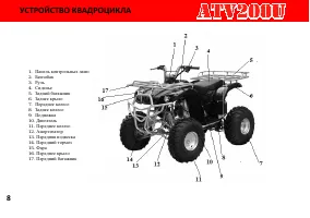 Страница 14