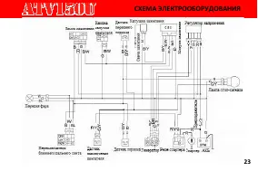 Страница 29