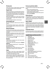 Страница 43