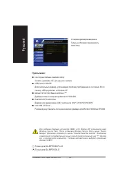 Страница 104
