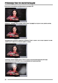 Страница 28