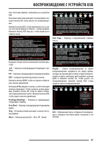 Страница 41