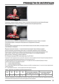 Страница 23