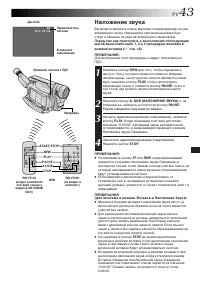 Страница 43