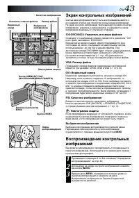 Страница 43