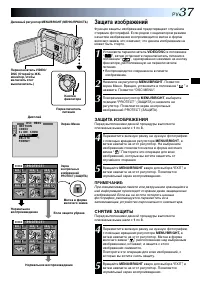 Страница 37