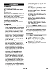 Страница 217
