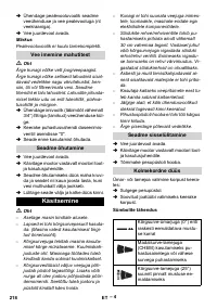 Страница 218