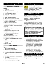 Страница 217