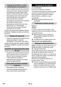 Страница 218