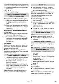 Страница 161