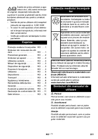 Страница 231
