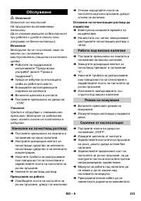 Страница 233