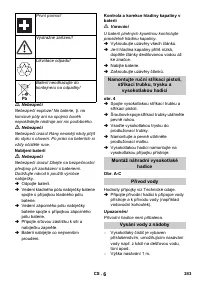 Страница 243