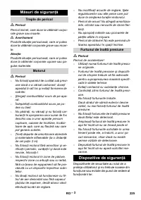 Страница 225