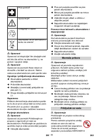 Страница 263